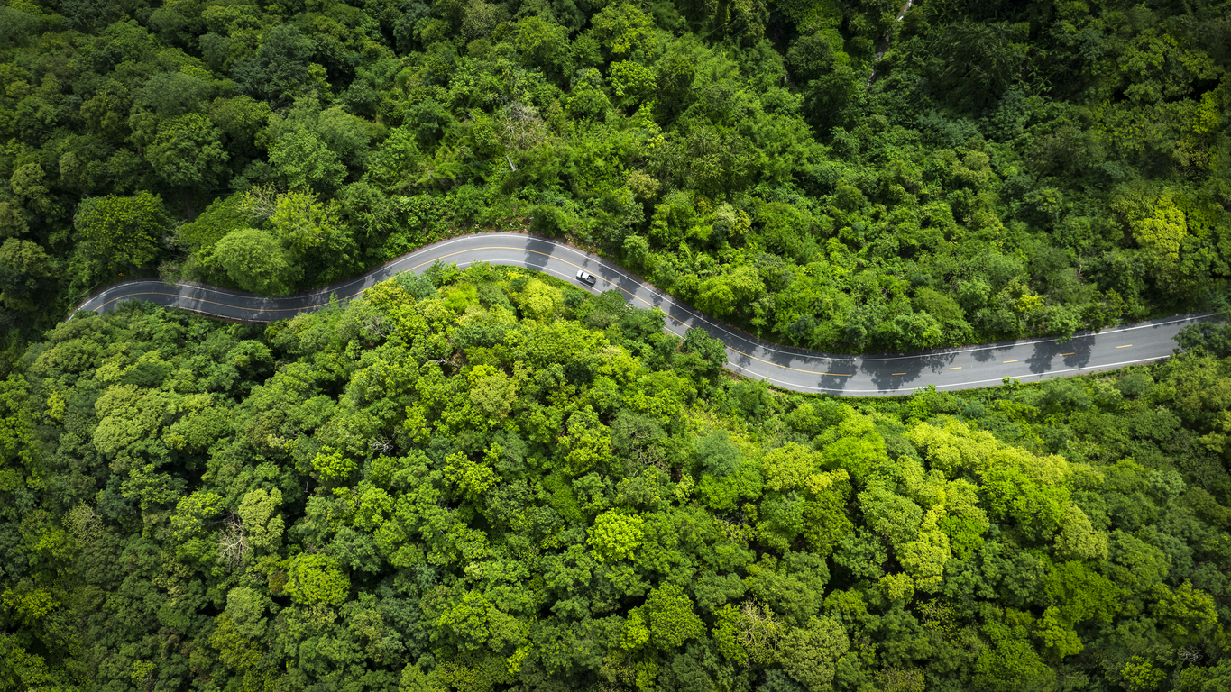 Drone-view of a winding road through a green forest