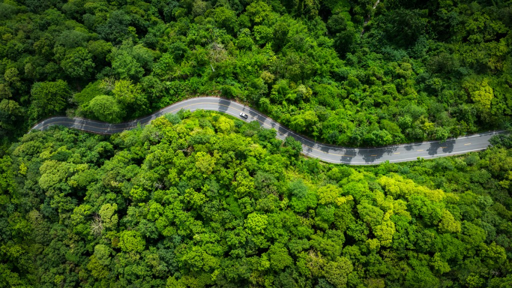 Drone-view of a winding road through a green forest